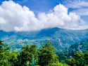 Alpine Hills- Gangtok