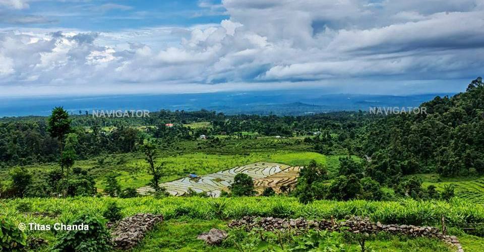 Dooars Valley (Samsing)