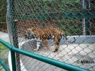 Darjeeling Zoo
