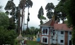 Darjeeling -Japanees Temple