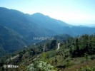 Kalimpong Mountain Biking
