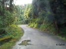On the way to Lava