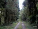 Neora Valley National Park