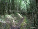 Neora Valley National Park