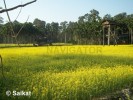 Buxa Fort on the way