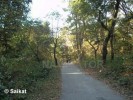 Buxa Fort on the way