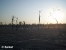 Jayanti Sunset
