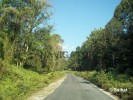 Jayanti onthe way