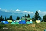 Camp Site