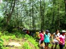 Hiking