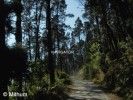 Kalimpong Mountain Biking