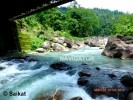 Murti River