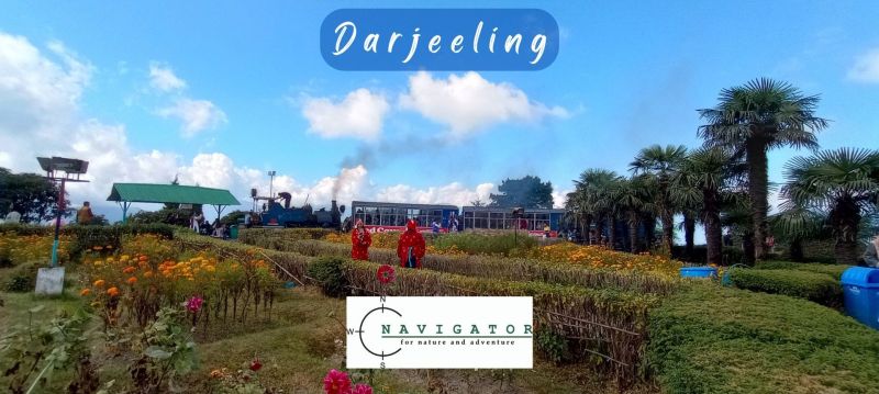 Toy train at Batasia Loop - Darjeeling trip