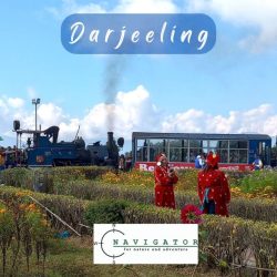 Darjeeling Trip
