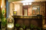 New Orchid - Gangtok