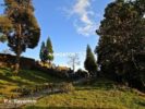 Rabdantse Ruins- Pelling
