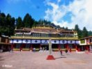 Rumtek Monastery - Gangtok