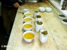 Tea Testing - Darjeeling
