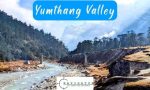 Yumthang Valley - Sikkim