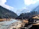 Yumthang Valley